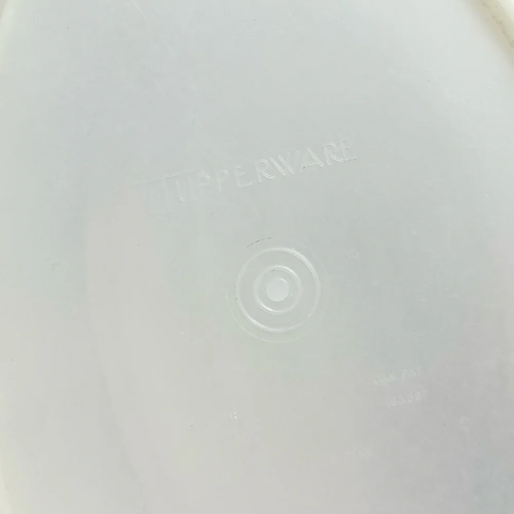 Vintage Tupperware Flavor Saver Ham Chicken Meat Keeper Container Clear